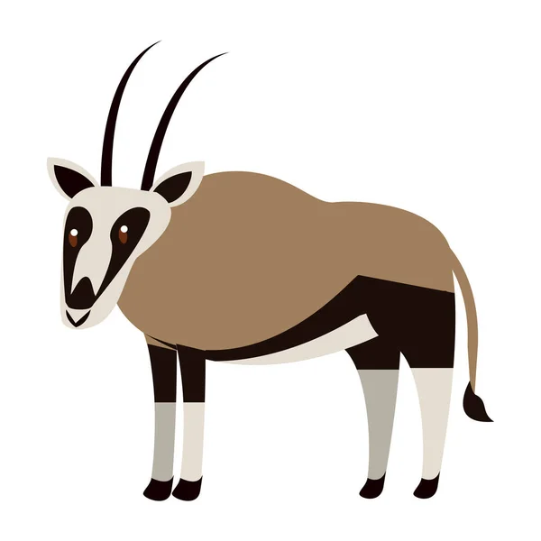 Antilopa divoké zvíře — Stockový vektor