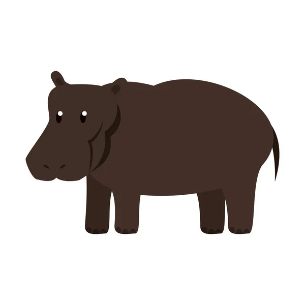 Hippo wild dier — Stockvector