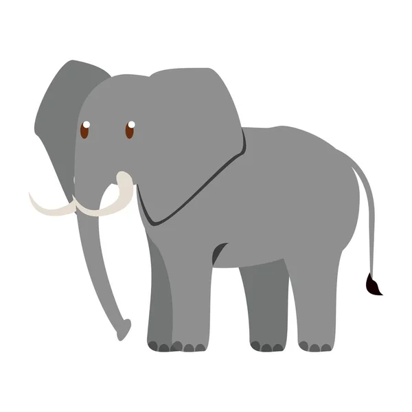 Elefante animal salvaje — Vector de stock