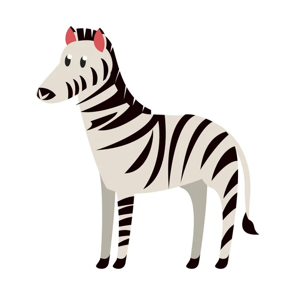 Zebra vilda djur — Stock vektor