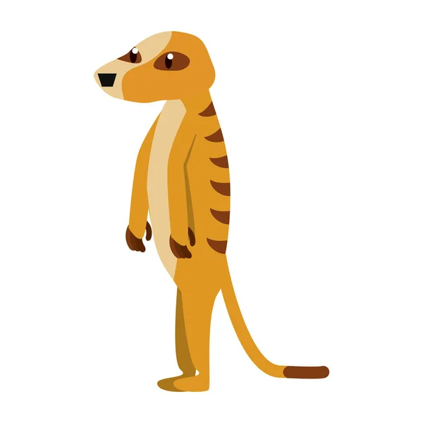 Meerkat animal selvagem — Vetor de Stock