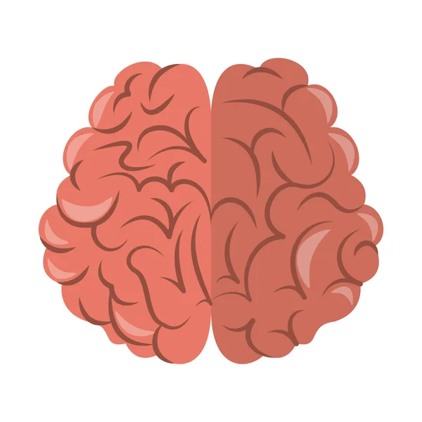 Dessin animé cerveau humain — Image vectorielle