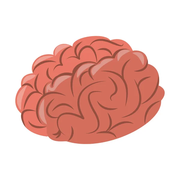 Human brain cartoon — Stock Vector