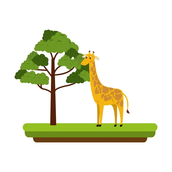Girafa animal selvagem — Vetor de Stock