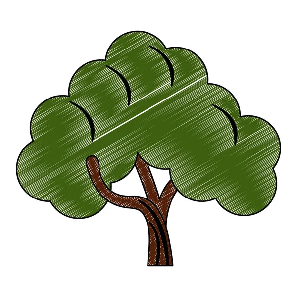 Drzewo natura symbol kulas — Wektor stockowy