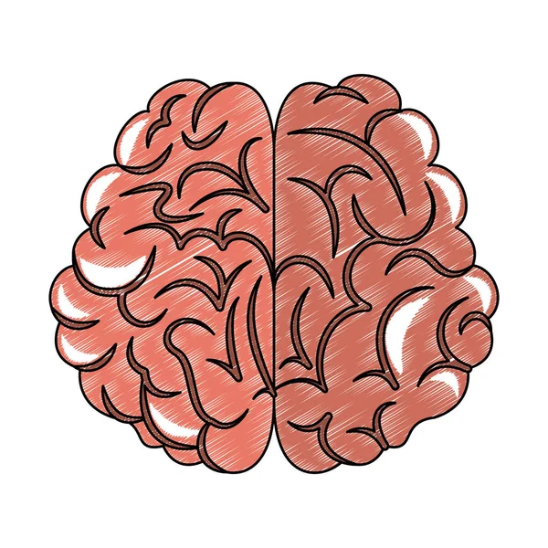 İnsan beyni karikatür karalama