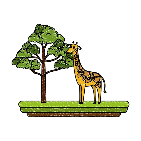长颈鹿野生动物卡通矢量插画图形设计 — 图库矢量图片
