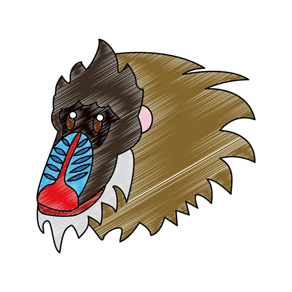 Mandrill vilda djur scribble — Stock vektor