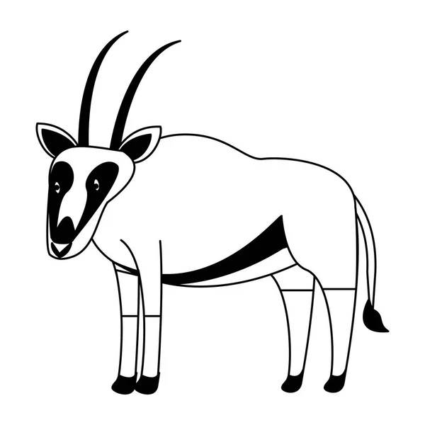 Antilopa divoké zvíře v černé a bílé — Stockový vektor
