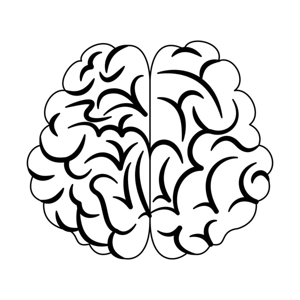 Cartoon des menschlichen Gehirns in Schwarz-Weiß — Stockvektor