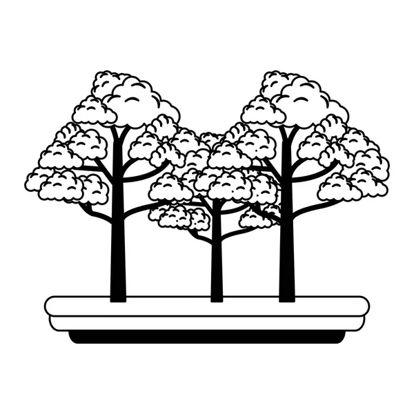 Árboles en la naturaleza en blanco y negro — Vector de stock