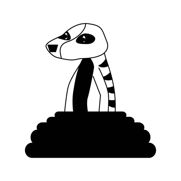 Meerkat animal salvaje en blanco y negro — Archivo Imágenes Vectoriales