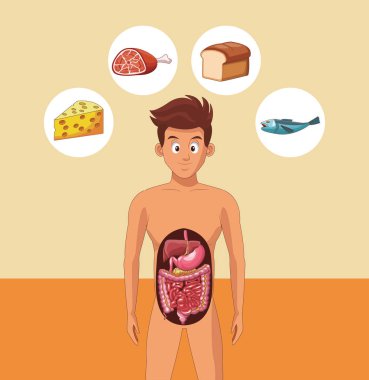 Genç adam sindirim sistemi