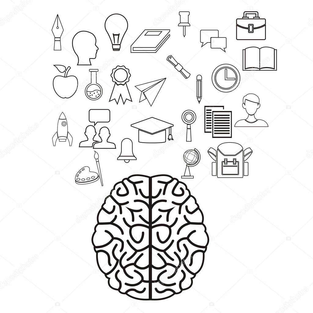 white background with sketch contour brain human with elements academic knowledge floating