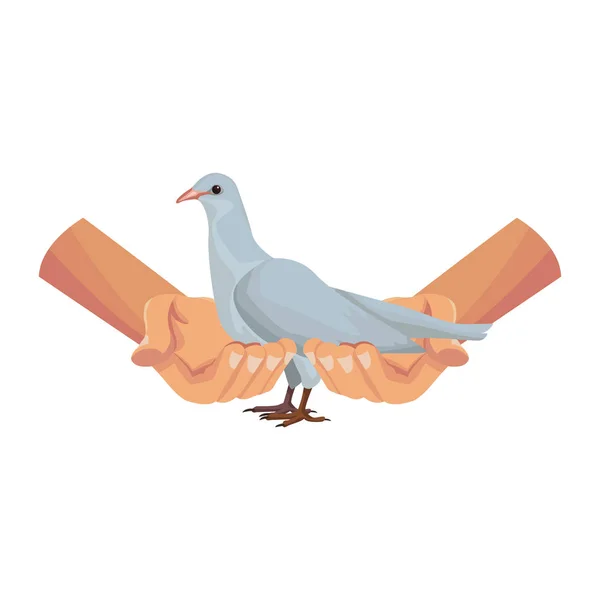 Ruce držící holubice — Stockový vektor