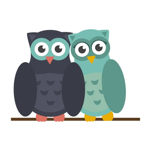 Cute owls cartoons — Stock Vector