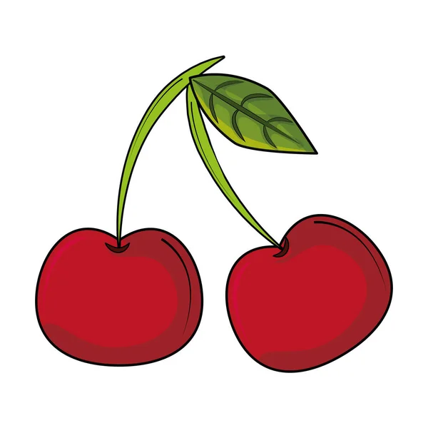 Frutos de cerejas doces —  Vetores de Stock