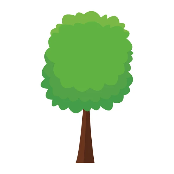 Ağaç doğa sembolü — Stok Vektör