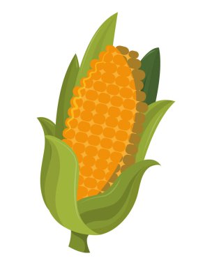 Şükran günü koçanı