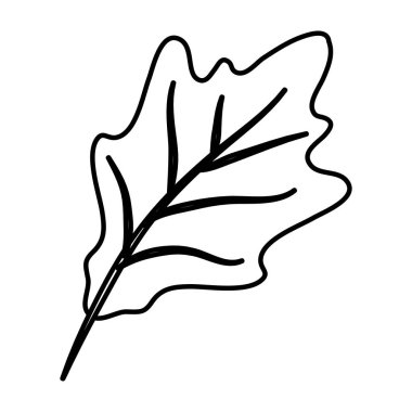 Şükran Günü Sonbahar yaprakları