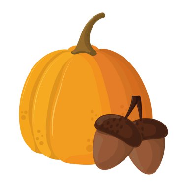 Şükran günü kabak