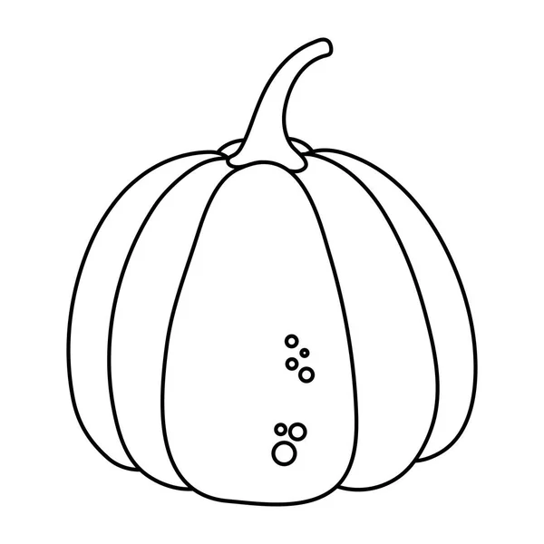 Calabaza del día de Acción de Gracias — Archivo Imágenes Vectoriales