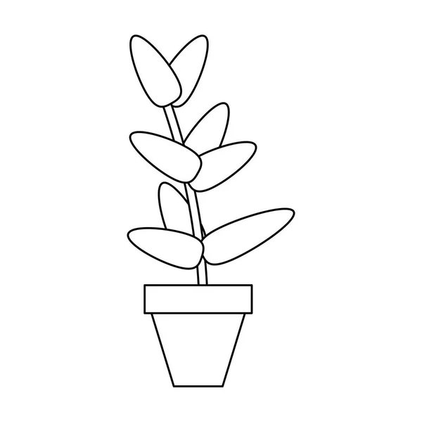 Planta pote isolado preto e branco — Vetor de Stock