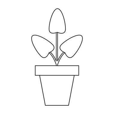 Bitki pot izole siyah ve beyaz