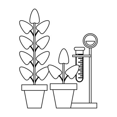 Bilim deneyleri ve soruşturma siyah ve beyaz
