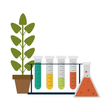 Bilim deneyleri ve soruşturma