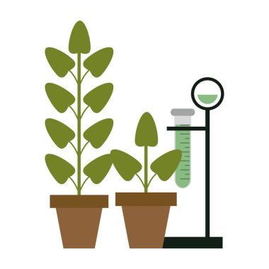 Bilim deneyleri ve soruşturma