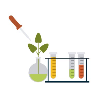 Bilim deneyleri ve soruşturma