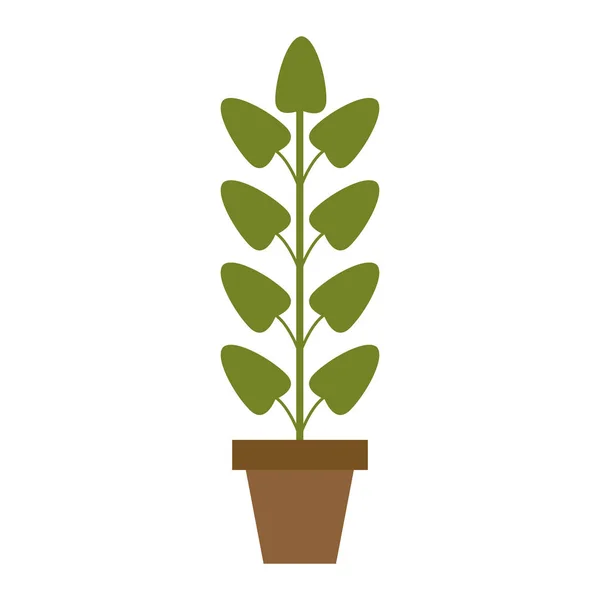 Vaso de plantas isolado — Vetor de Stock