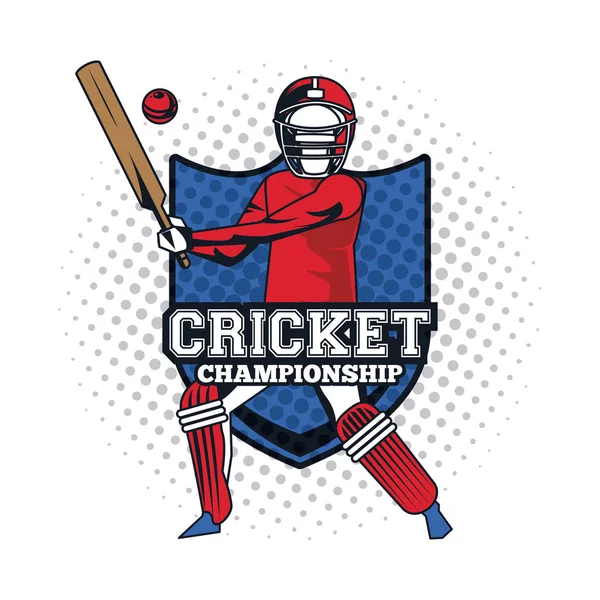 Jugador de cricket icono — Vector de stock