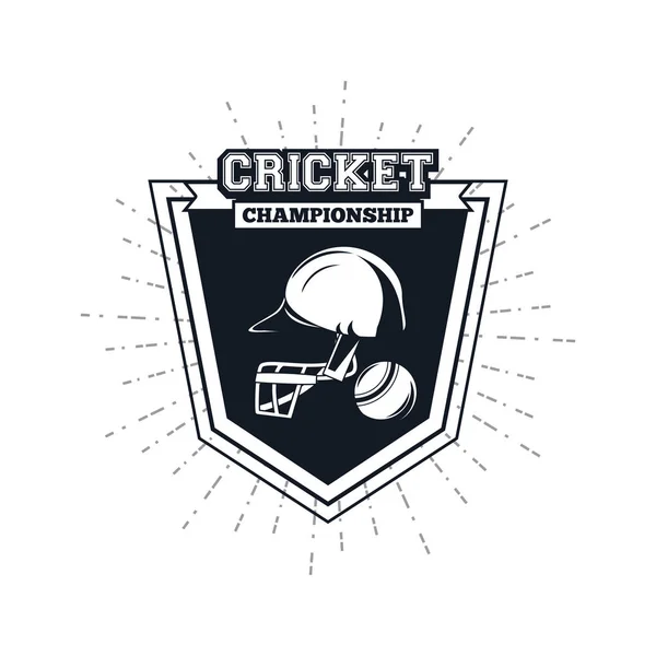 Placa de jugador de cricket — Vector de stock