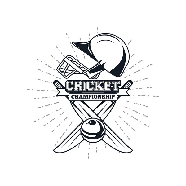 Jugador de equipo de cricket — Vector de stock