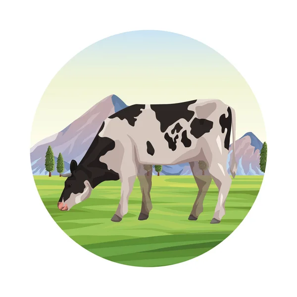Animal de criação de vaca —  Vetores de Stock