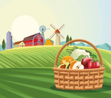 meyve ve sebze sepeti