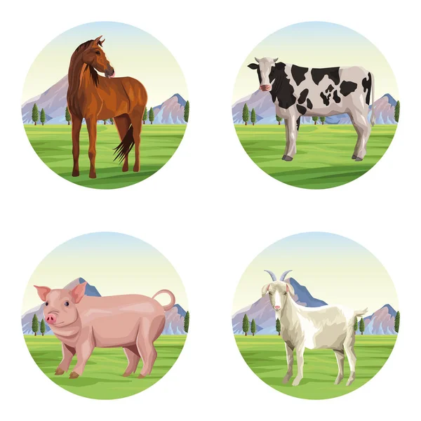 Farm animals cartoons — Stock Vector