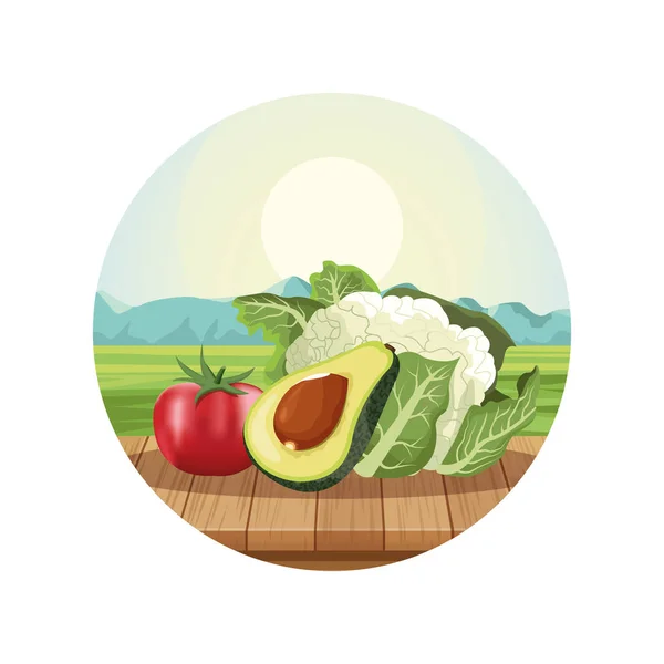 Fresh vegetables food — Stock Vector