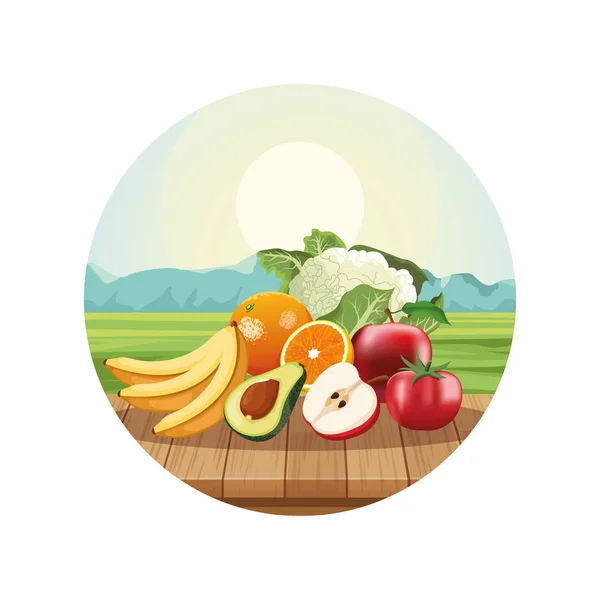 Fruits and vegetables — Stock Vector