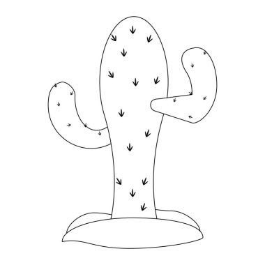 Kaktüs çöl bitki siyah beyaz