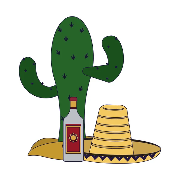Tequila Botella Cactus Con Sombrero Vector Ilustración Diseño Gráfico — Archivo Imágenes Vectoriales