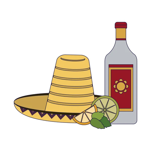 Tekila Meksika içki — Stok Vektör