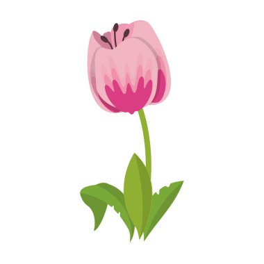 Çiçek yuvarlak izole simge vektör çizim grafik tasarım