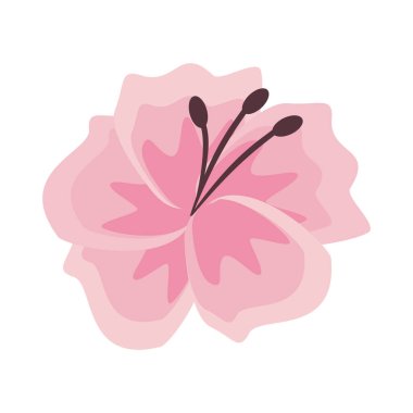 Çiçek yuvarlak izole simge vektör çizim grafik tasarım