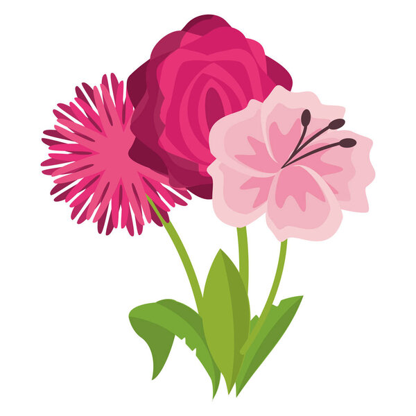Flower round symbol isolated vector illustration graphic design