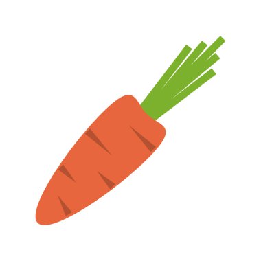Havuç sebze gıda izole vektör çizim grafik tasarım