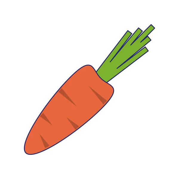 Zanahoria Verduras Alimentos Aislados Vector Ilustración Diseño Gráfico — Vector de stock