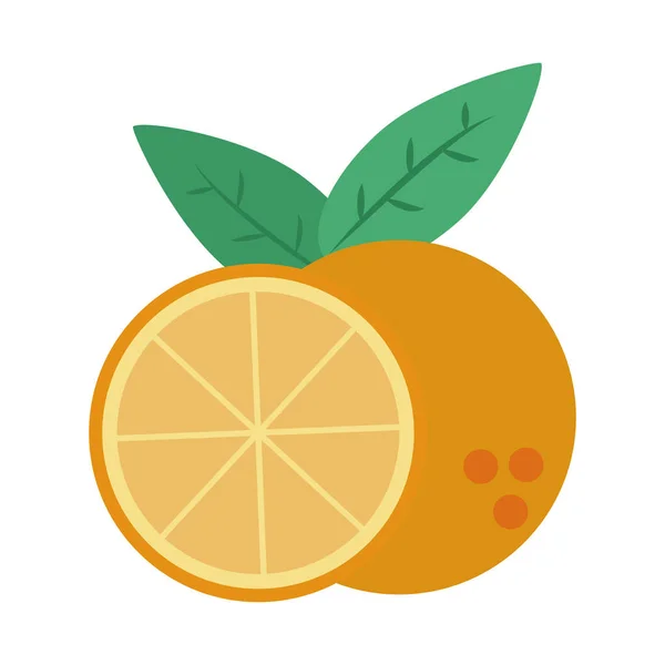 Fruta cítrica naranja — Archivo Imágenes Vectoriales